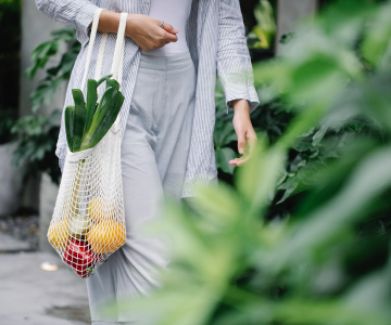 fruit bag